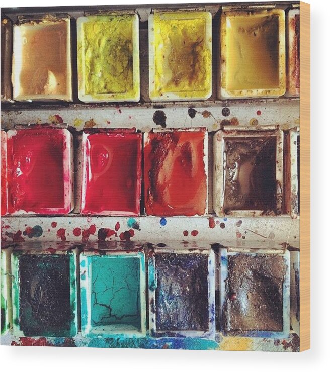 Paint Wood Print featuring the photograph Paintbox by Nic Squirrell