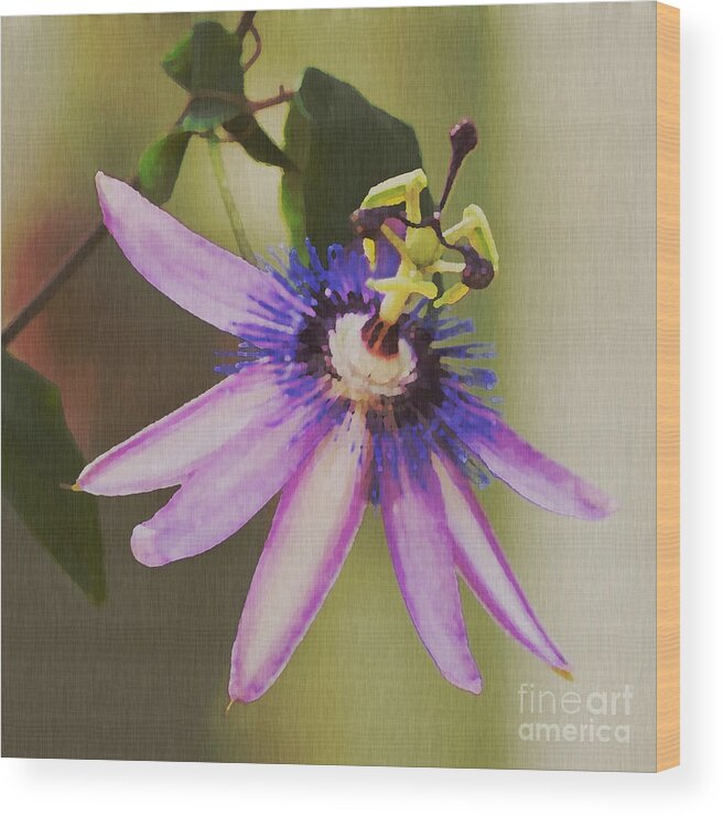 Passion Flower Wood Print featuring the painting Passion Flower by Artist and Photographer Laura Wrede