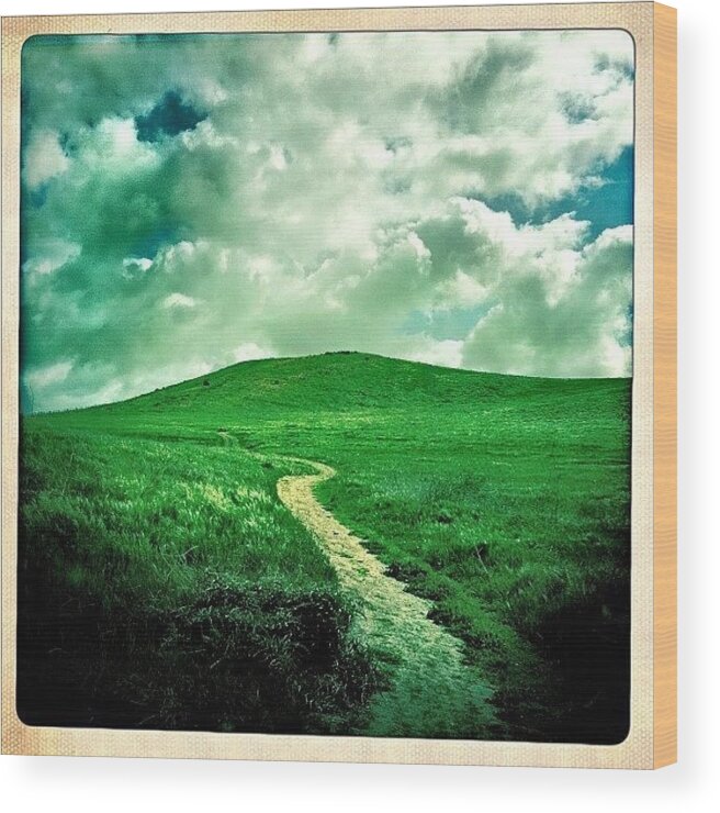 Wind Wood Print featuring the photograph Path & Clouds by Todd Kelley