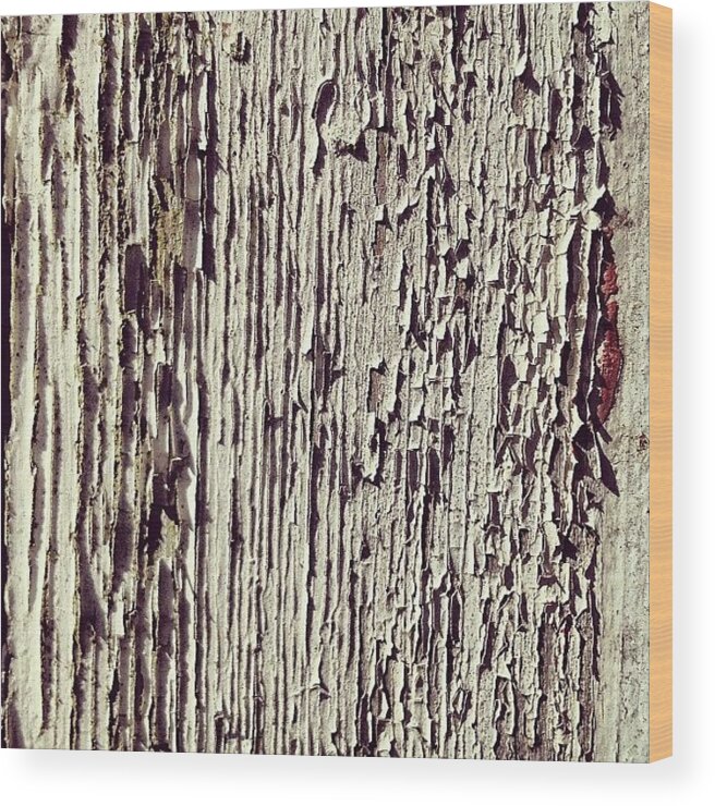 Peeling Wood Print featuring the photograph Peeling Paint by Nic Squirrell