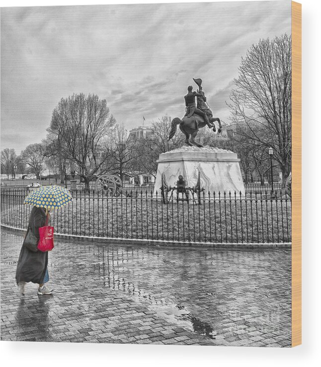 Capital Wood Print featuring the photograph Red Bag Lafayette Park by Jim Moore