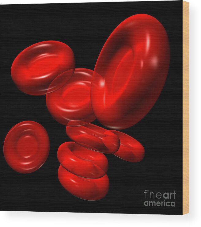 Artery Wood Print featuring the digital art Red Blood Cells 2 by Russell Kightley