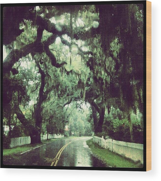  Wood Print featuring the photograph Rockville South Carolina by Dustin K Ryan