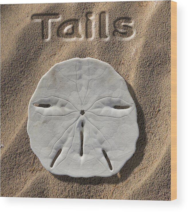 Sand Dollar Wood Print featuring the photograph Sand Dollar Tails by Mike McGlothlen