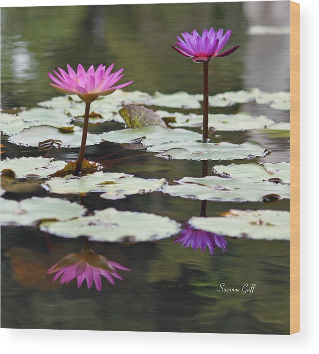 Purple Wood Print featuring the photograph Shades of Purple by Suzanne Gaff