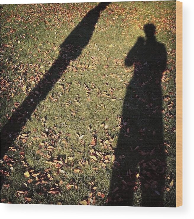 Shadows Wood Print featuring the photograph #shadows #grass #leaves #sun #edgcumbe by Joe Trethewey