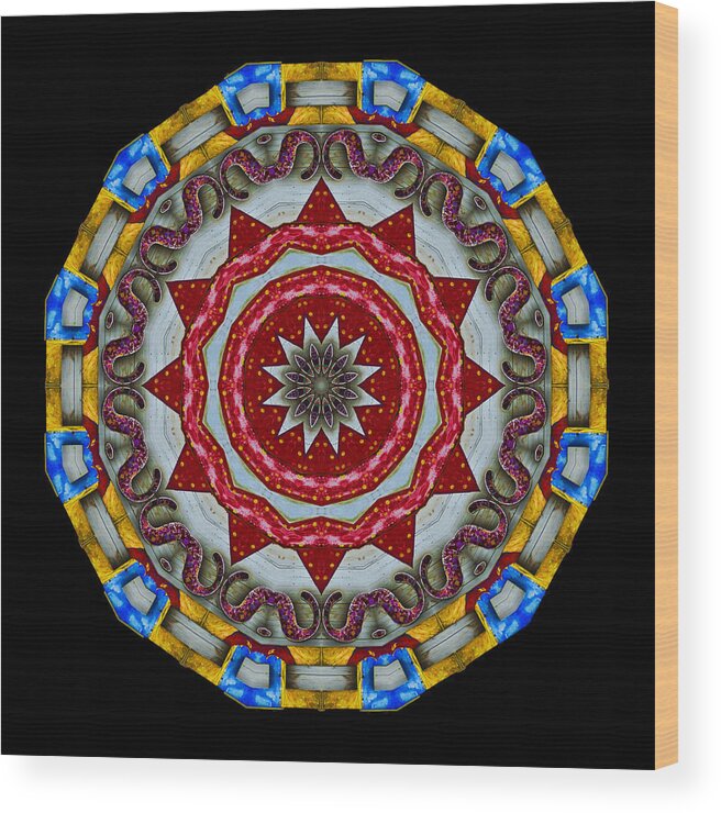 Mandala Wood Print featuring the photograph Shark Fin Mandala by Bill Barber