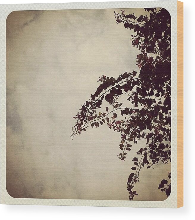 Beautiful Wood Print featuring the photograph #silhouette #simple #pathway #park by Xiu Ching