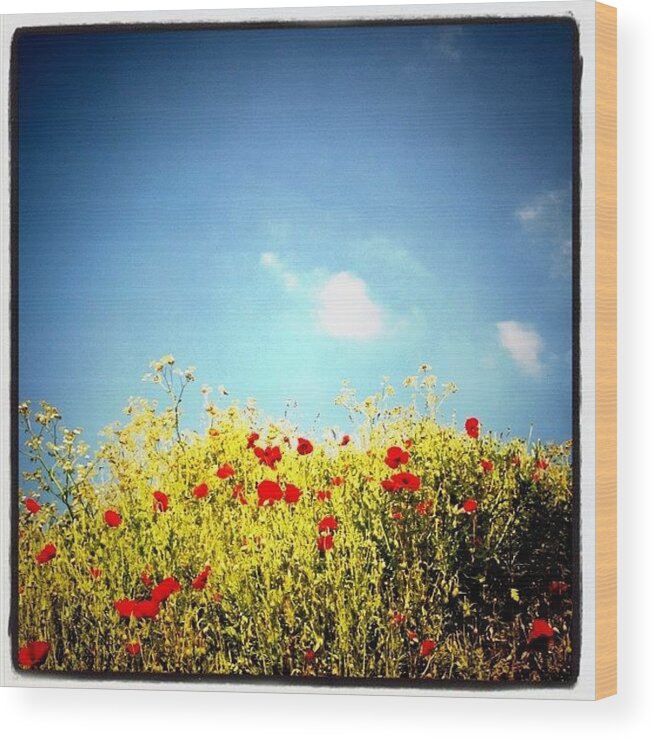 Rptw Wood Print featuring the photograph #sky #clouds #flowers #colors Yesterday by Robbert Ter Weijden