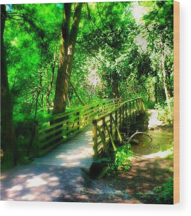 Tagstagram Wood Print featuring the photograph Small Wooden Walking Bridge by Mr. B