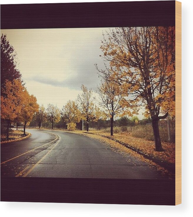 Fallleaves Wood Print featuring the photograph So Many Beautiful Streets To Drive Down by Karen Clarke