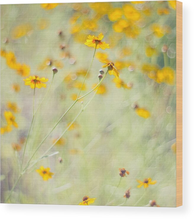 Wildflowers Wood Print featuring the photograph Summer Invitation by Joel Olives