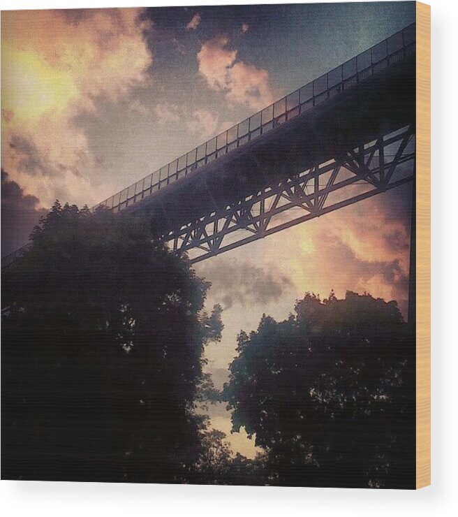 Summer Wood Print featuring the photograph Sunset Over The Walkway by Tina Marie