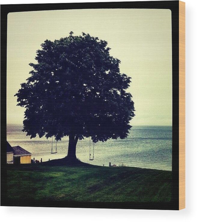 Trees Wood Print featuring the photograph Swings By The Sea by Luke Kingma