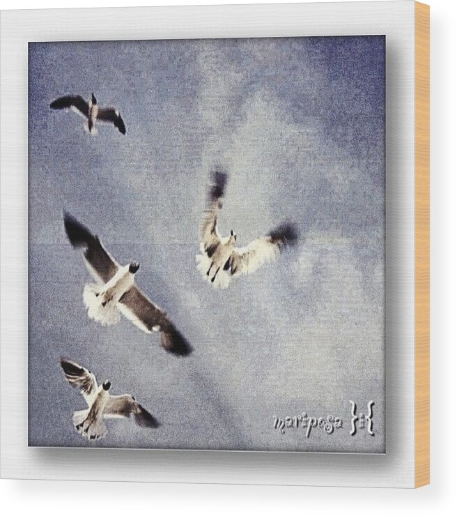 Sky Wood Print featuring the photograph Taking Flight by Mari Posa
