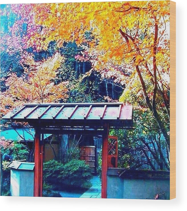 Fall Color Wood Print featuring the photograph Tea House Gate in the Fall by Anna Porter