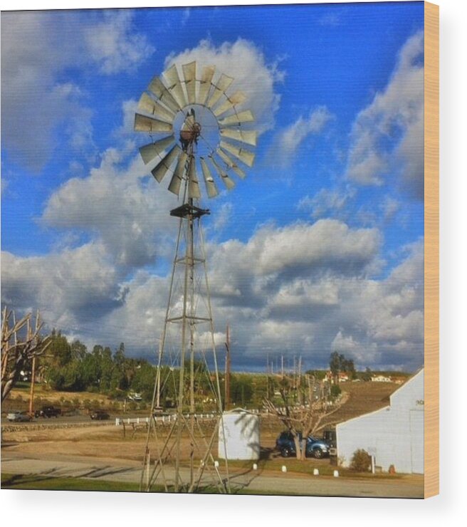  Wood Print featuring the photograph Temecula, Wine Country by Brian Kalata