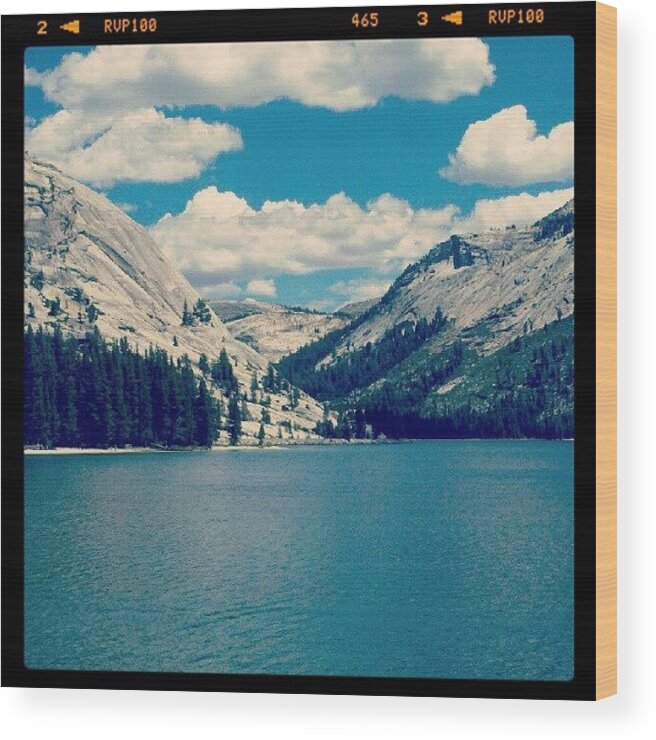  Wood Print featuring the photograph Tenaya Lake In Yosemite by Josh Johnson