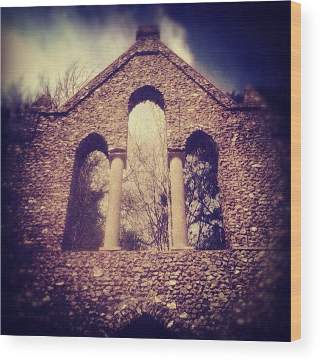 Ruins Wood Print featuring the photograph The Arches by Tom Crask