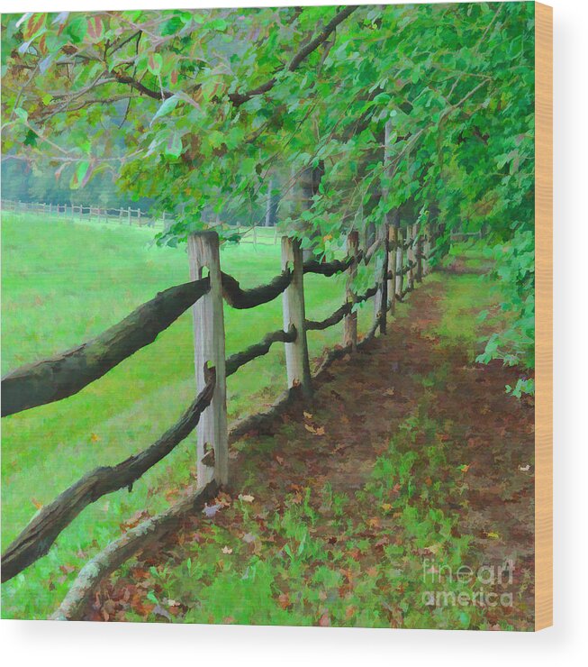 Old Wood Rail Fence Wood Print featuring the digital art The Fence Path by L J Oakes