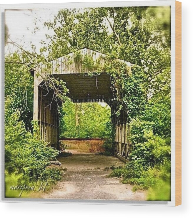 Bridge Wood Print featuring the photograph The Narrow Bridge by Mari Posa