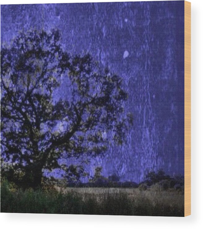  Wood Print featuring the photograph The Painted Sky by Christine Cherry