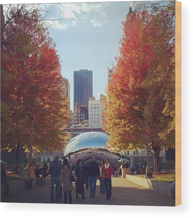  Wood Print featuring the photograph The Path To The Bean by Genie Concepcion