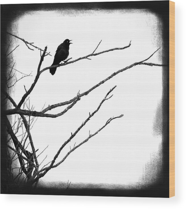 Raven Wood Print featuring the photograph The Raven by Penny Hunt