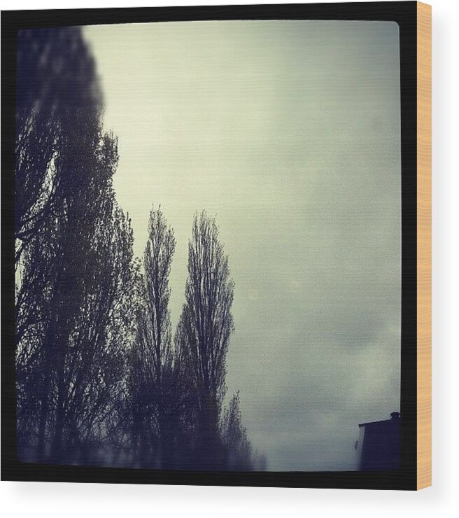  Wood Print featuring the photograph The Weather Seems To Match My Mood Far by Charlie Moss