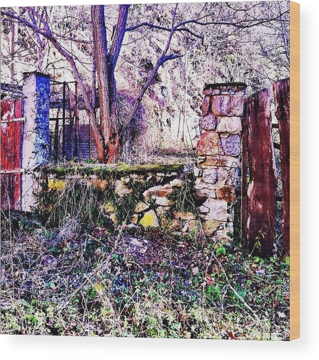 Beautiful Wood Print featuring the photograph This Is Actually A Chicken Coop by Clare {黒マリ} 🌙🌸