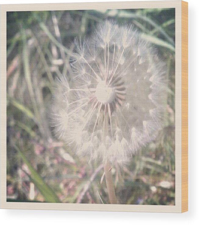 Ticktock Wood Print featuring the photograph Tick Tock by Vhairi Walker