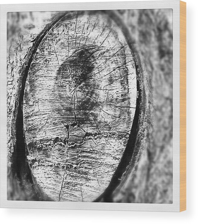 Wise Wood Print featuring the photograph To Be As #wise As The Old Oak #tree by Tiffany Townsend