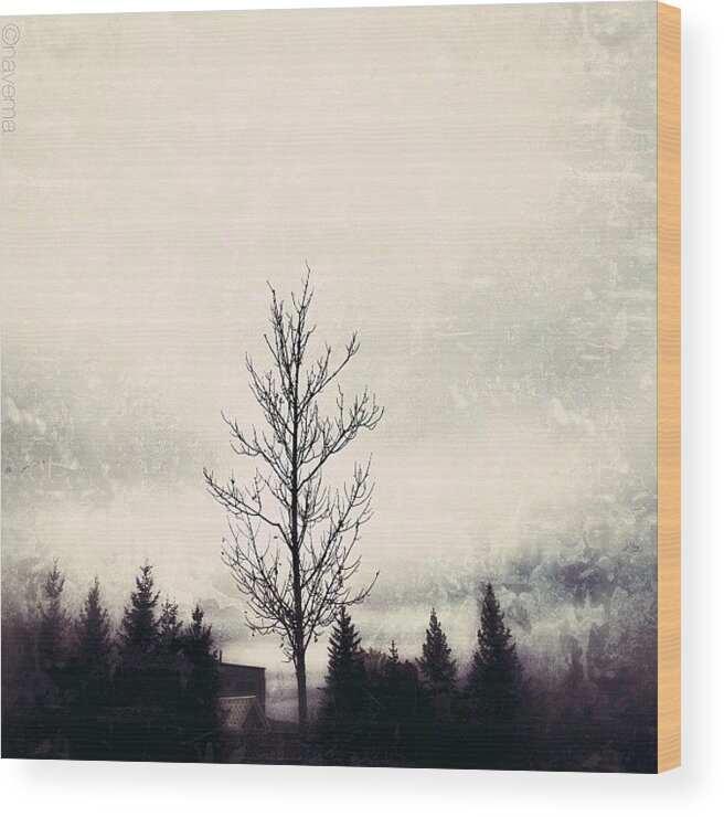 Teamrebel Wood Print featuring the photograph Tout Seul by Natasha Marco