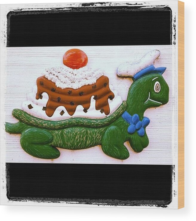 Turtle Wood Print featuring the photograph Turtle Sundae by Rex Pennington