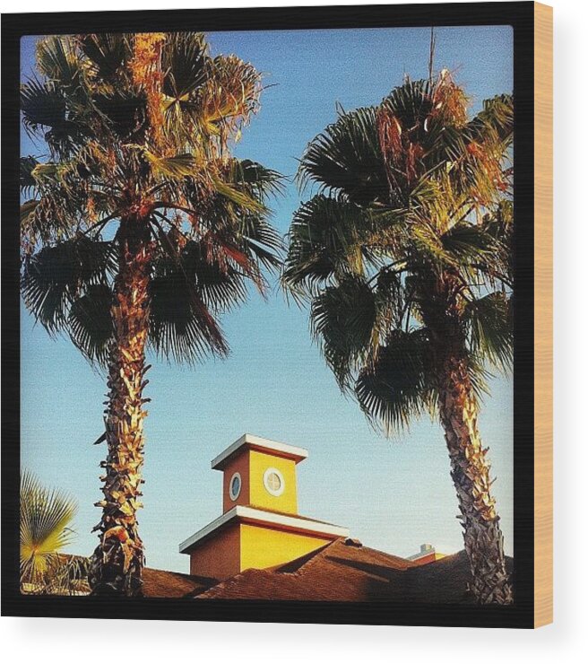 Clubhouse Wood Print featuring the photograph Twin Palms by James Roberts