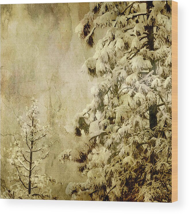 Winter Trees Wood Print featuring the photograph Two Generations by Bonnie Bruno