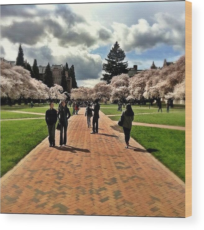 Universityofwashington Wood Print featuring the photograph University of Washington by Chris Fabregas