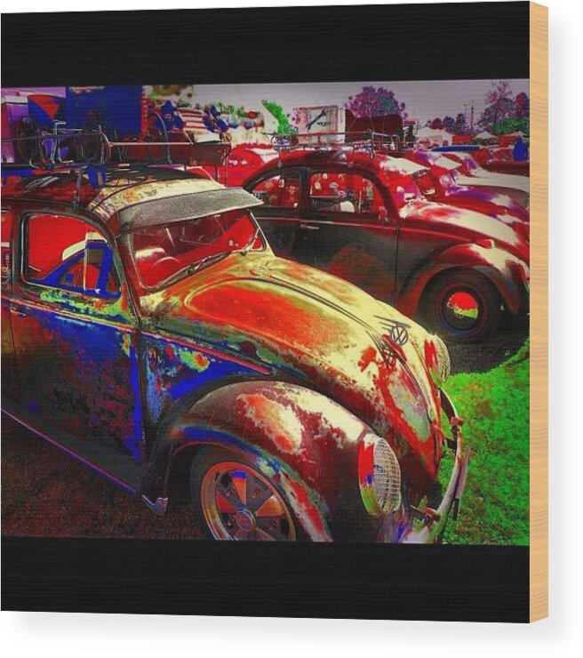 Lovebugs Wood Print featuring the photograph Vw Bugs @ Greazefest by Avril O