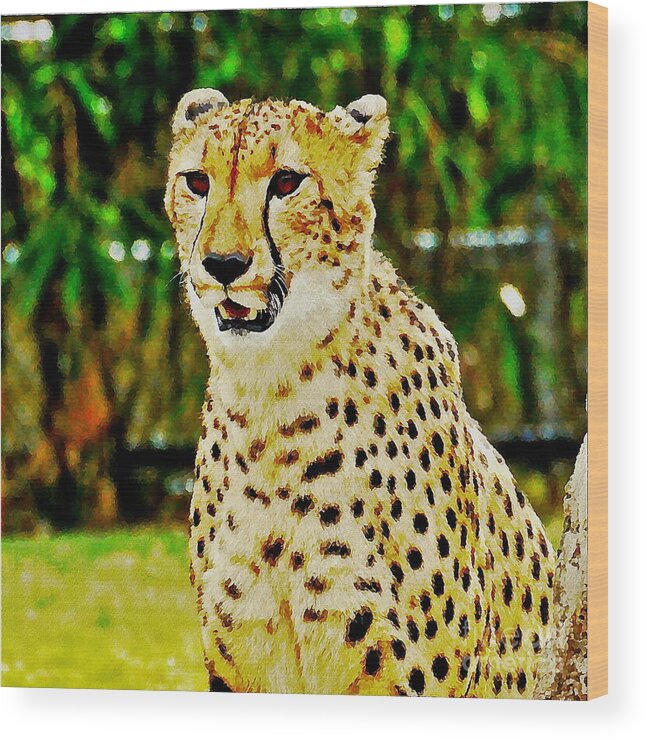 Digitally Altered Wood Print featuring the photograph Watercolor Cheetah by Carol Bradley