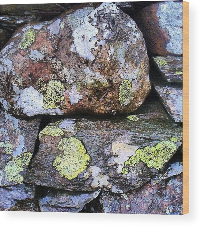 Dry Stone Wall Wood Print featuring the photograph Wet Dry Stone Wall by Nic Squirrell