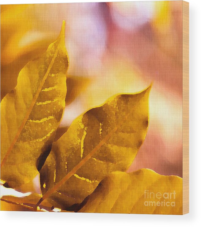 Fall Wood Print featuring the drawing When Leaves Turn Gold by Artist and Photographer Laura Wrede