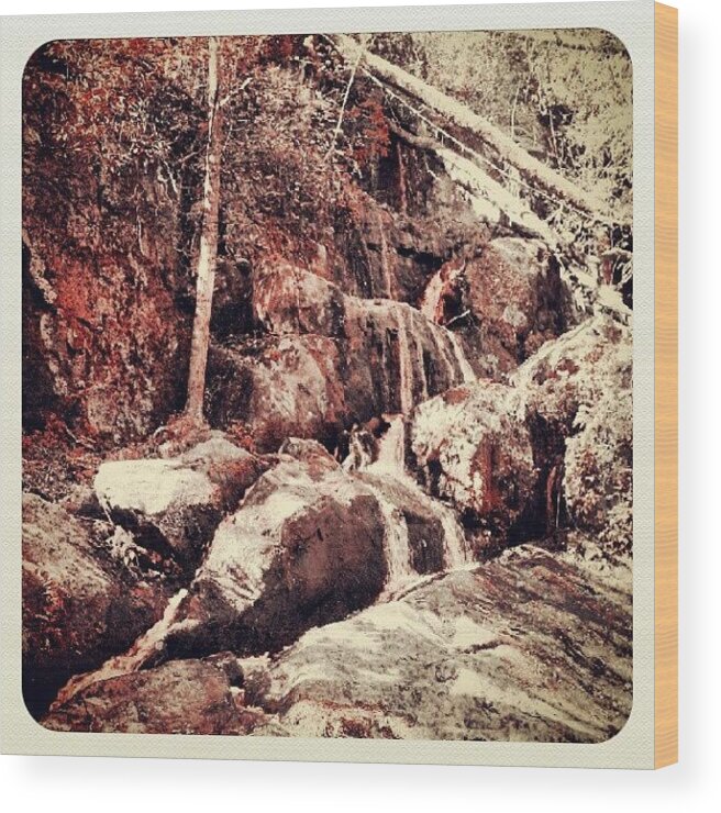 Hiking Wood Print featuring the photograph When Water Runs Red by Editor J