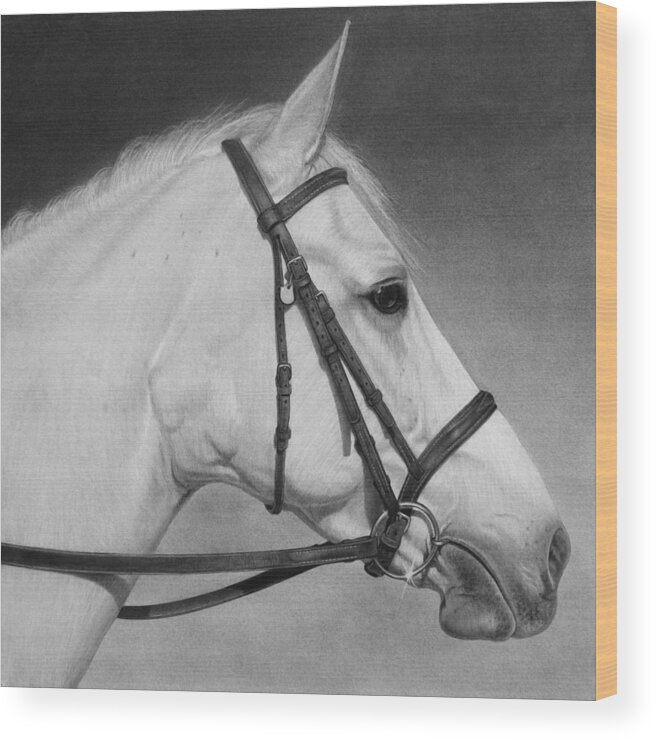 Graphite Drawing Wood Print featuring the drawing White Horse by Tim Dangaran