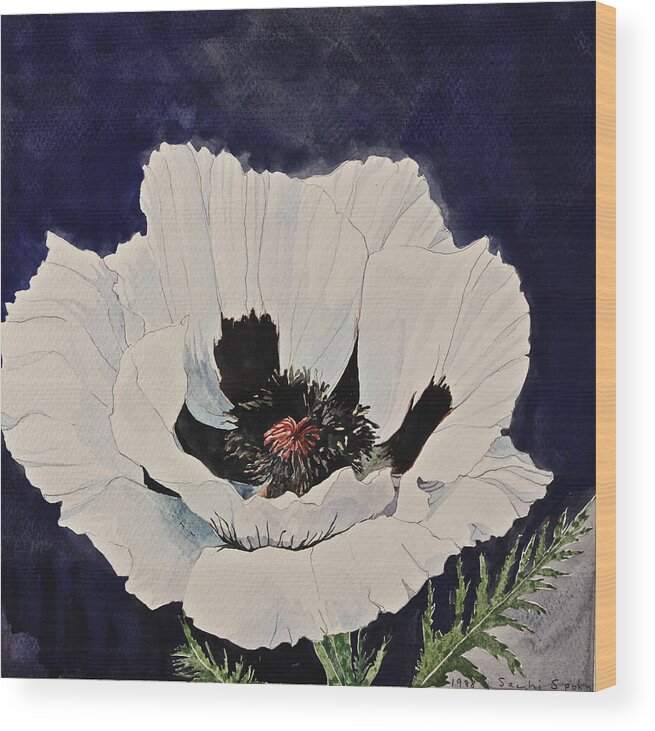Watercolor Painting Wood Print featuring the painting White Poppy-Posthumously presented paintings of Sachi Spohn by Cliff Spohn