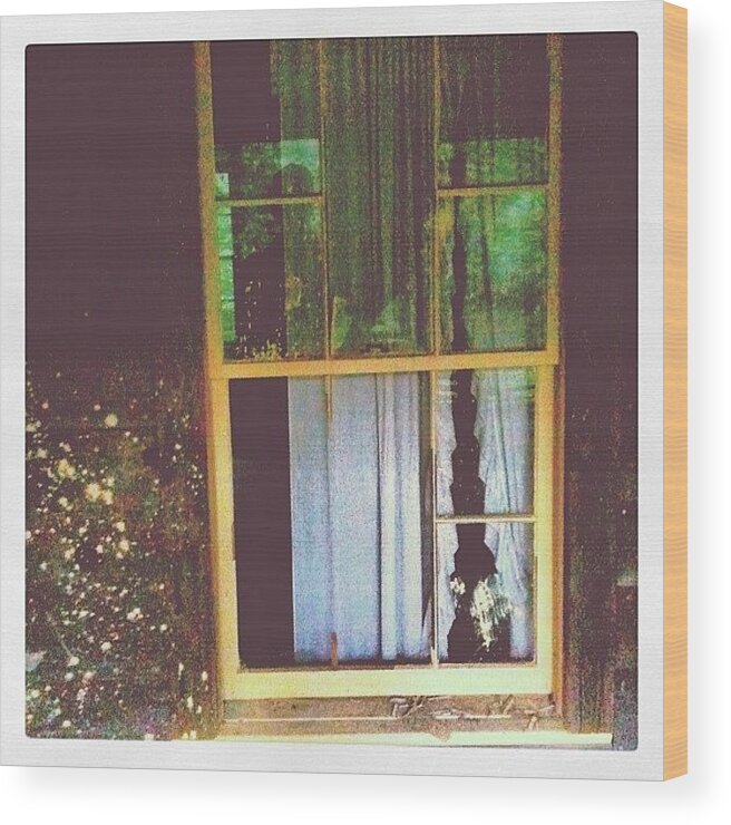 House Wood Print featuring the photograph #window #broken #paint #haunted #house by Argus Lucem