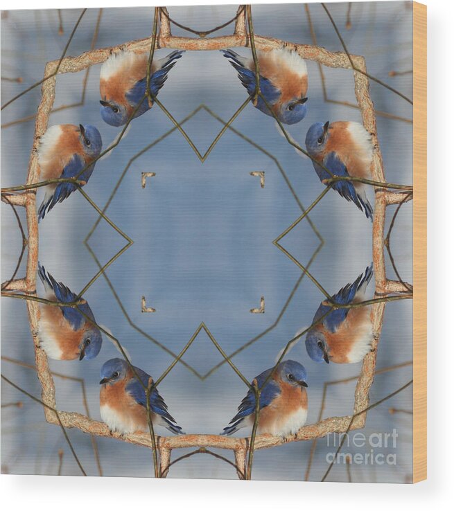 Kaleidoscope Wood Print featuring the digital art Winter Bluebird Kaleidoscope by Smilin Eyes Treasures
