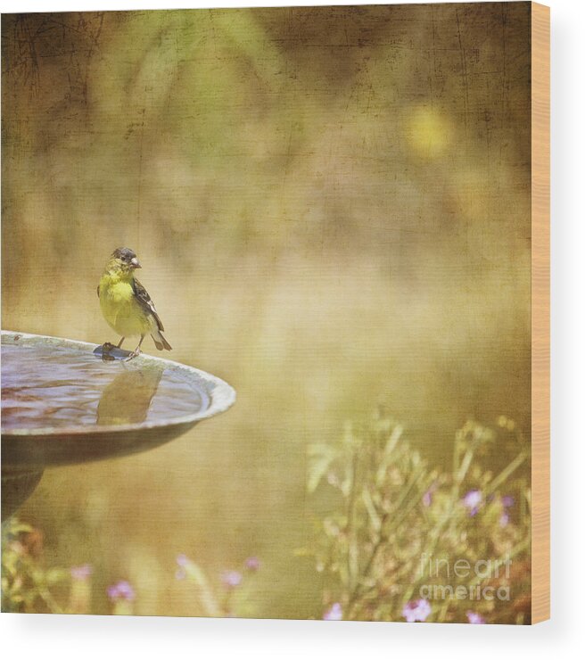 Bird Wood Print featuring the photograph Yellow Bird Upon a Fountain by Susan Gary