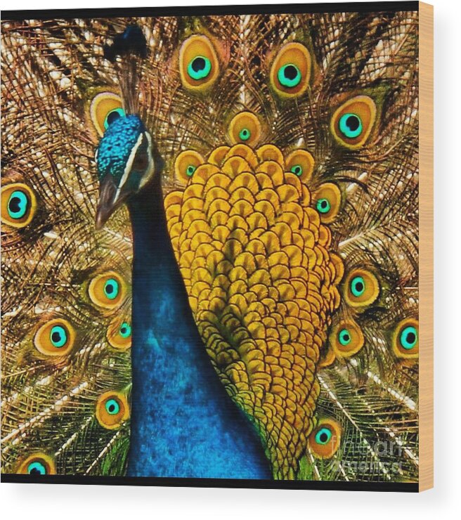 Bird Wood Print featuring the photograph Yellow Peacock by Browne and Huettner Fine Art