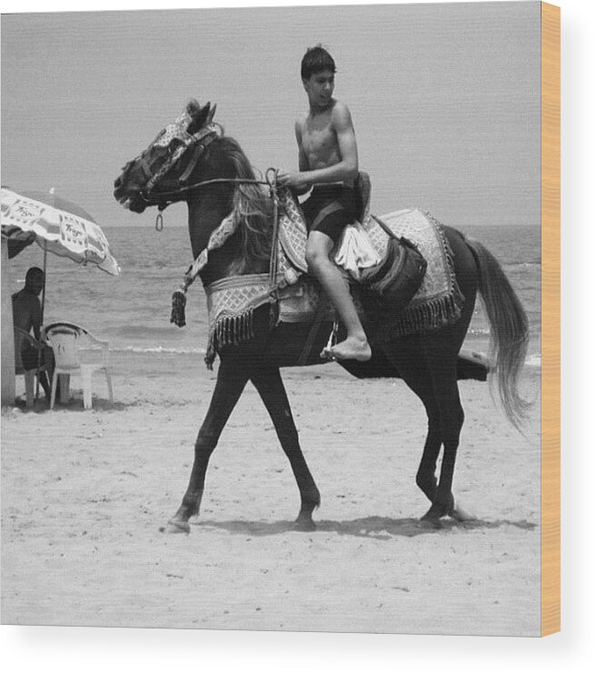 Africa Wood Print featuring the photograph Young Knight On The Beach In Saidia by Gianluca Sommella