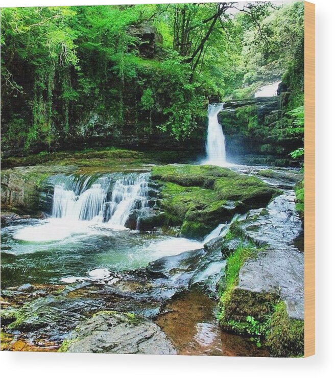 Greenery Wood Print featuring the photograph Ystradfellte Falls - Brecon Beacons National Park by Steve James